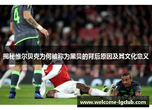 揭秘维尔贝克为何被称为黑贝的背后原因及其文化意义