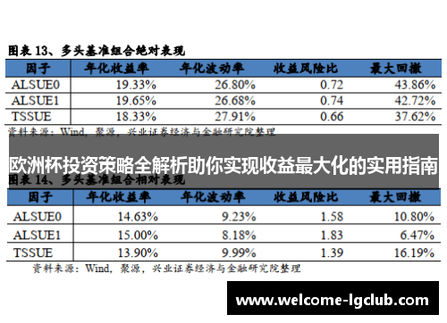 欧洲杯投资策略全解析助你实现收益最大化的实用指南
