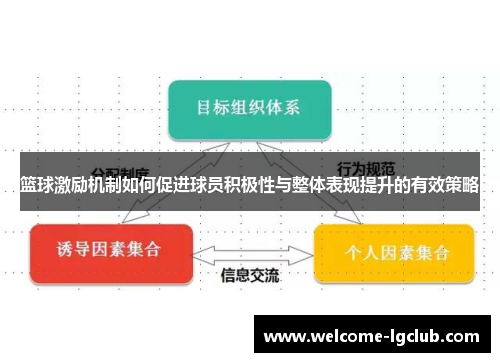篮球激励机制如何促进球员积极性与整体表现提升的有效策略